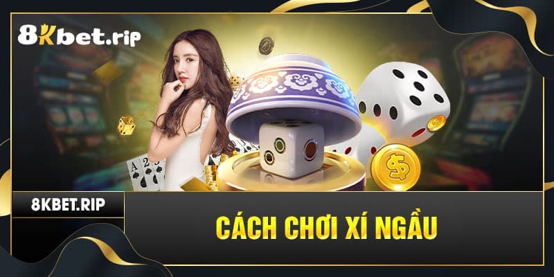 Cách chơi xí ngầu